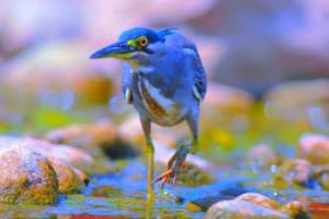 足球数据分析软件下载指南，助您精准预测比赛结果足球波胆软件怎么下载