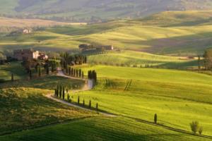 反波胆足球套利，精准盈利的秘密反波胆足球套利